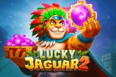 bigwin bet