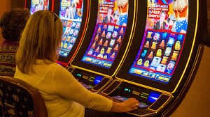 bigwin bet